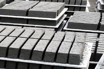 Fly Ash Bricks
