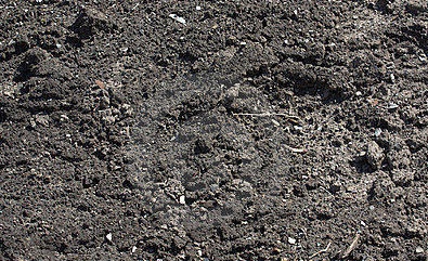 black cotton soil