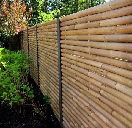 Bamboo Fence