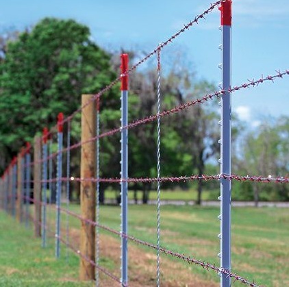 Barbed Wire Fence