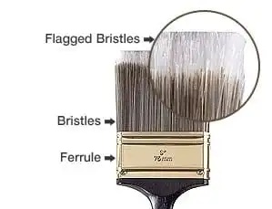 Flagged-Bristle Paint Brush