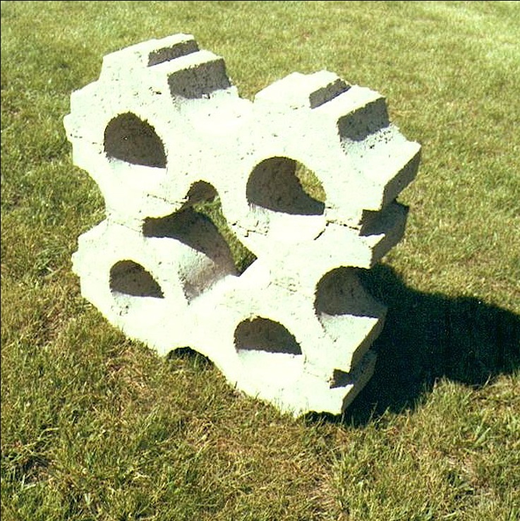 Grass block or grass paver