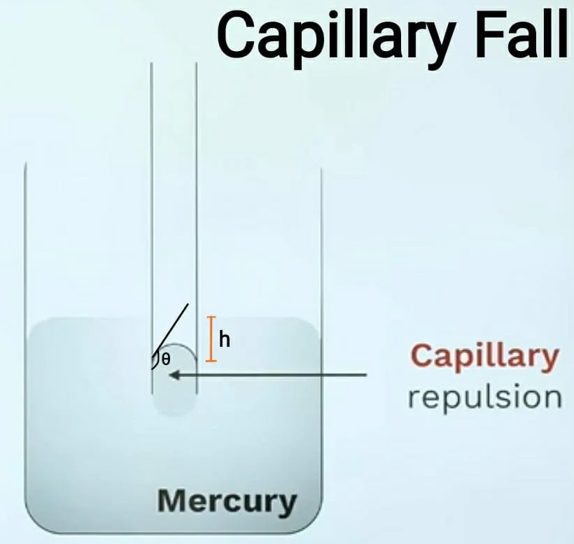 Capillary fall