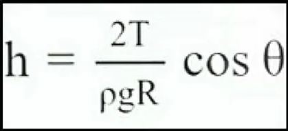 Capillary rise and fall height