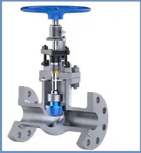 Globe Valve