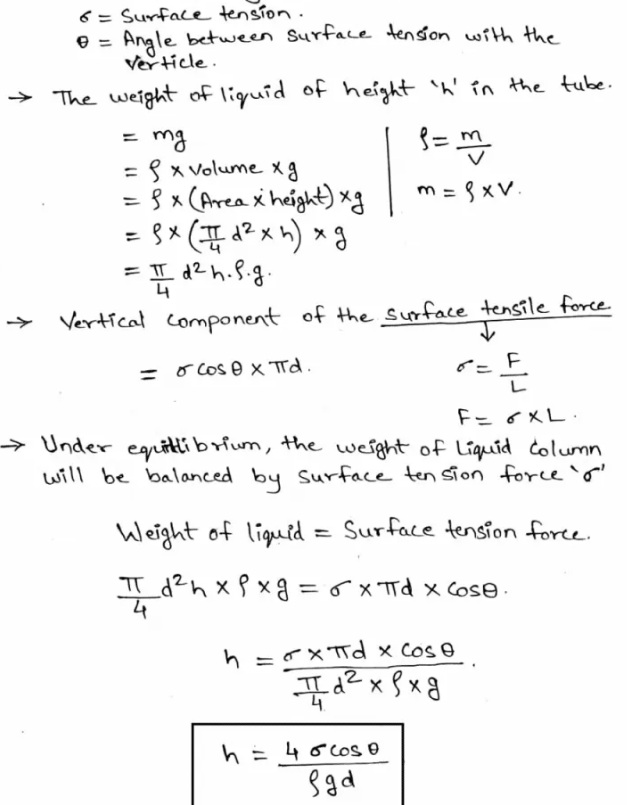 What is Surface Tension Definition of Surface Tension, Examples and Test