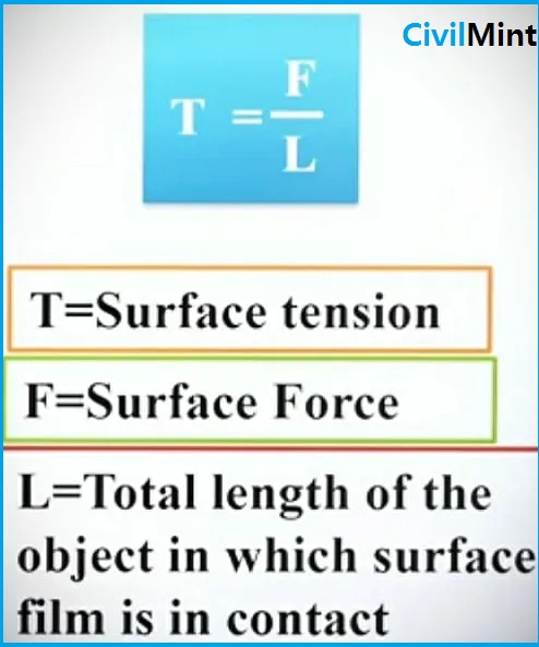 What Is Surface Tension In Biology Simple Definition