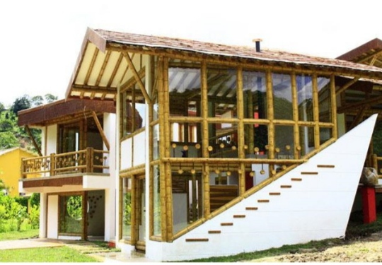 Bamboo Glass-fronted House