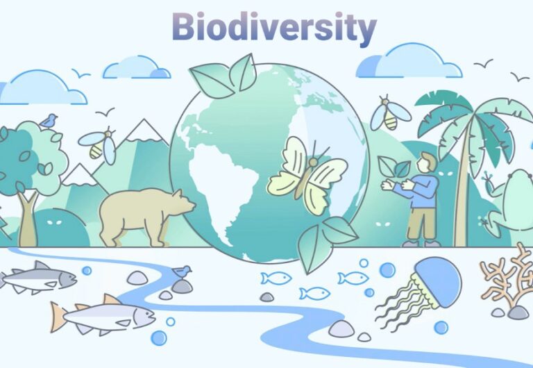 Biodiversity - Defination, Types & Conservation | CivilMint.Com