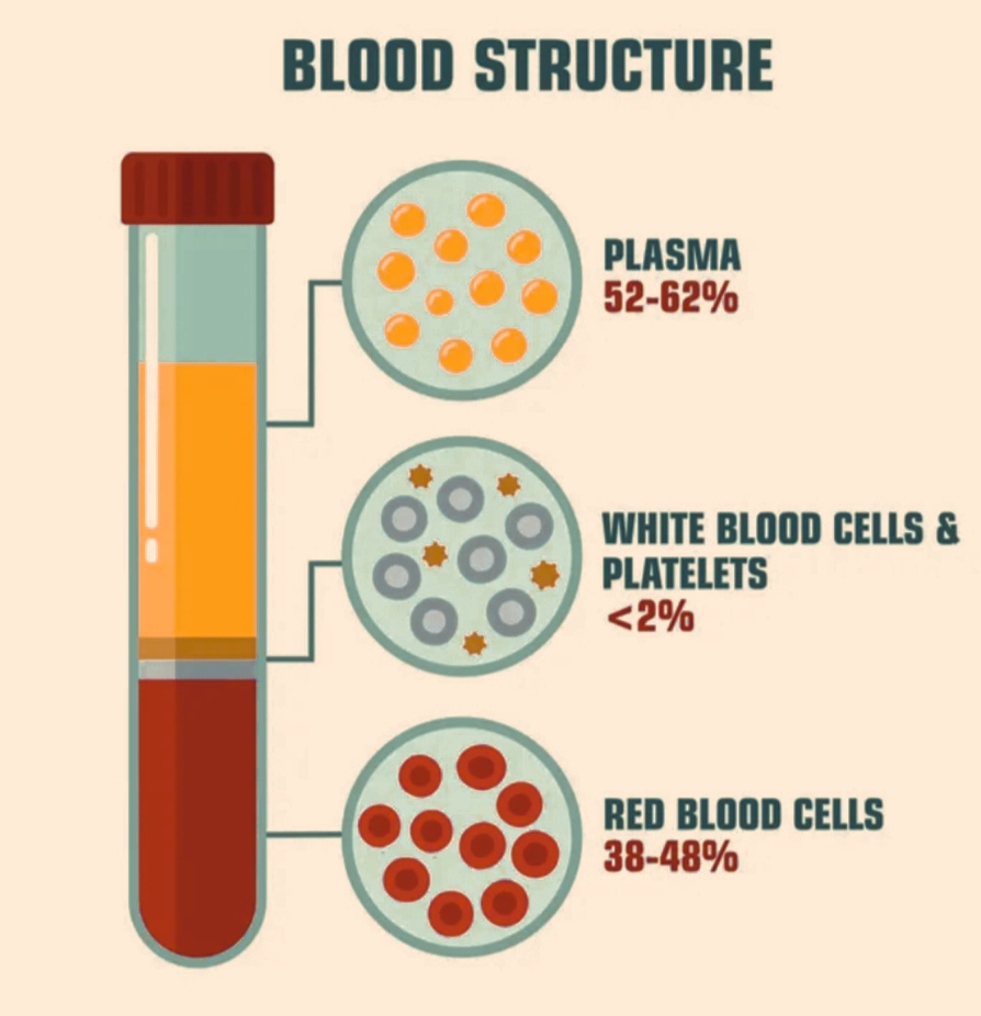 Difference Between Blood And Plasma | CivilMint.Com