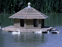 Floating Duck House