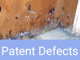 Patent defects