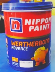 Top Paint Brands In India