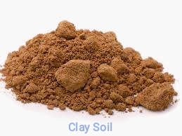 Clay Soil