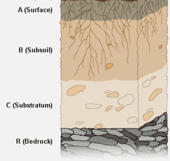 what-is-bedrock-civilmint-com