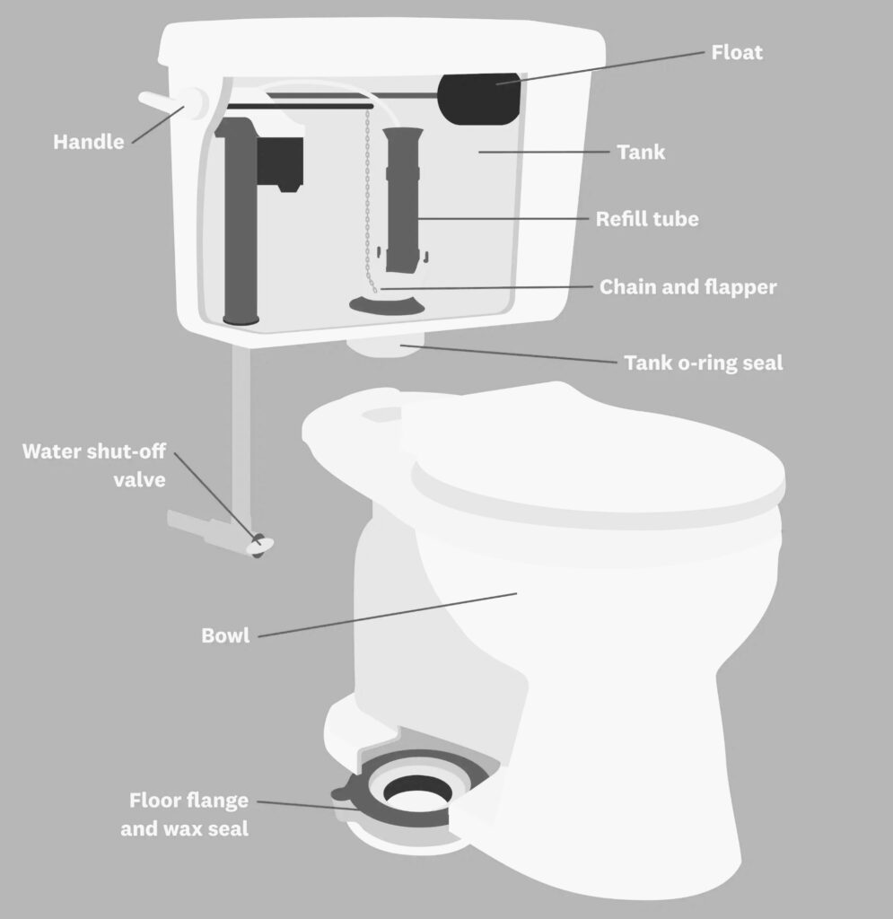 Parts Of A Toilet