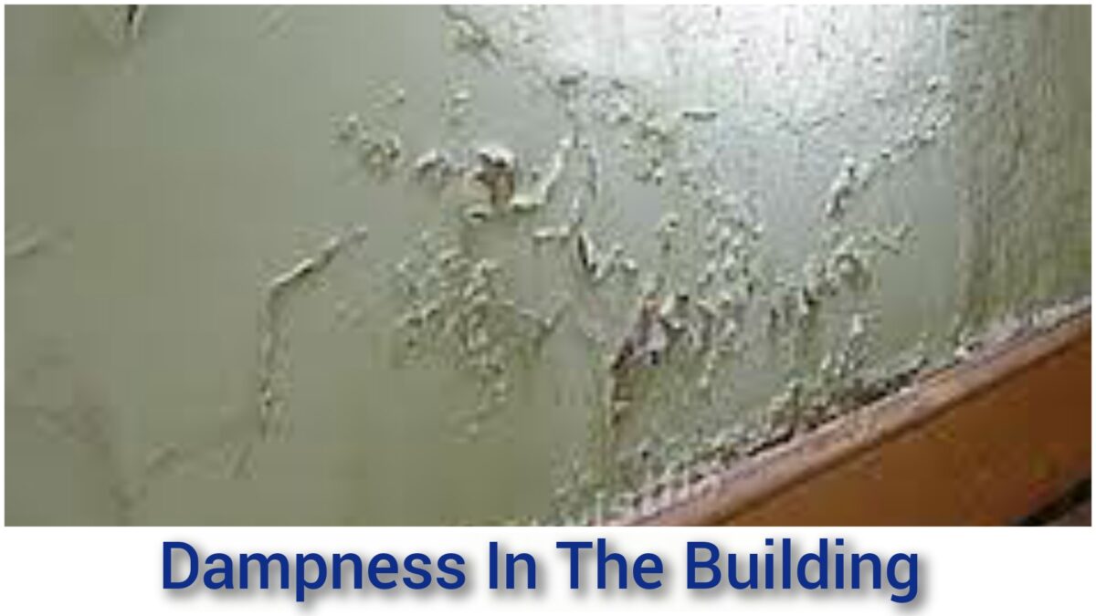 Causes Of Dampness In The Building