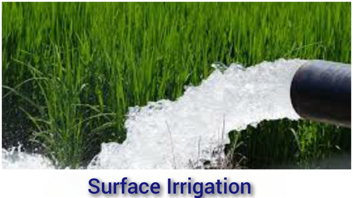 Surface Irrigation 