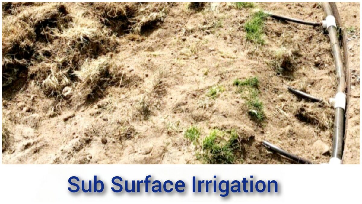 Sub Surface Irrigation 