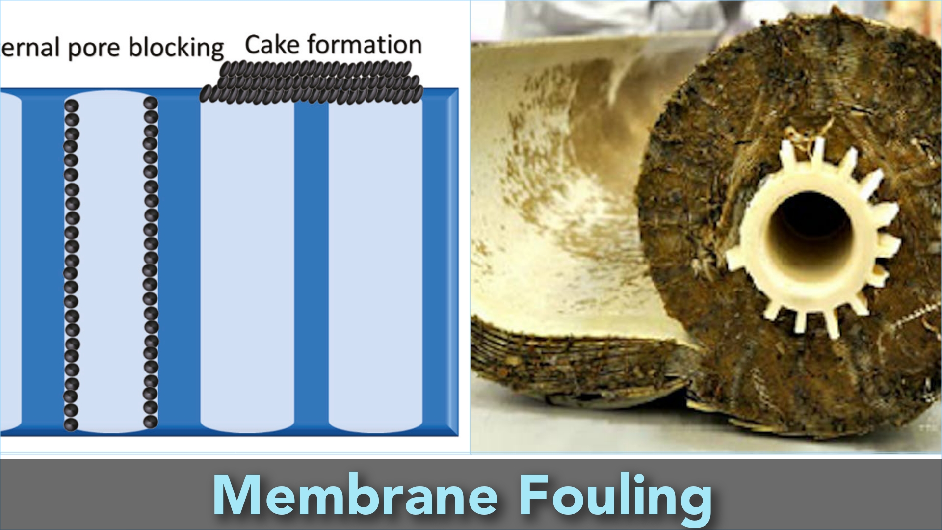 Membrane Fouling - Types, Causes And Prevention