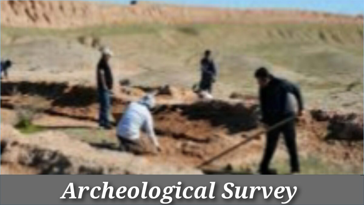 Archeological Survey