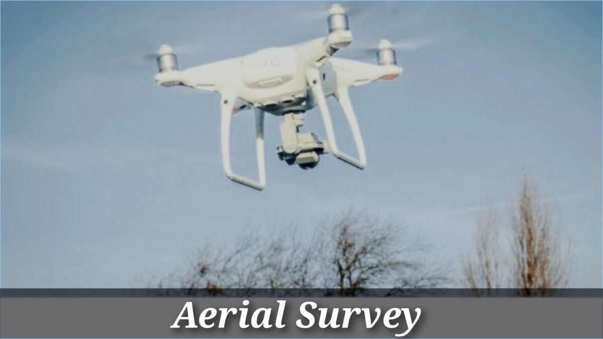 Aerial Survey