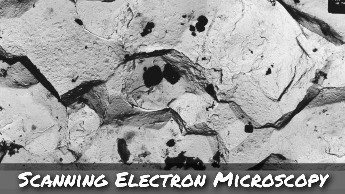 Scanning electron microscopy on rocks