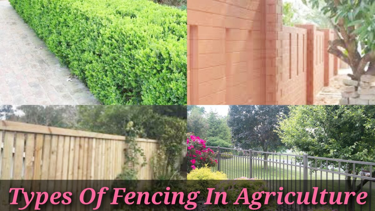 Various fences used in agricultural farms