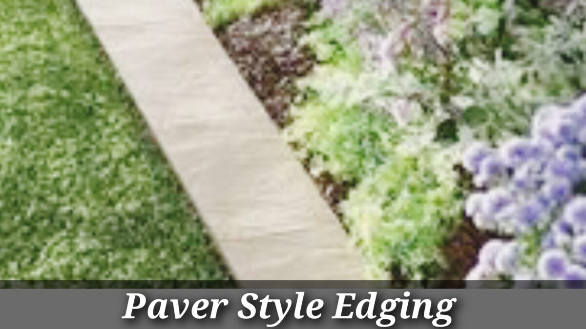 Paver Style Edging