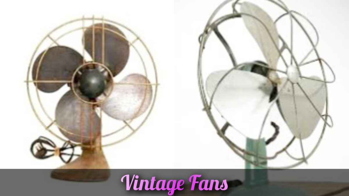 Vintage Fans 