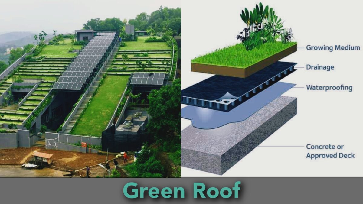 Green Roof 