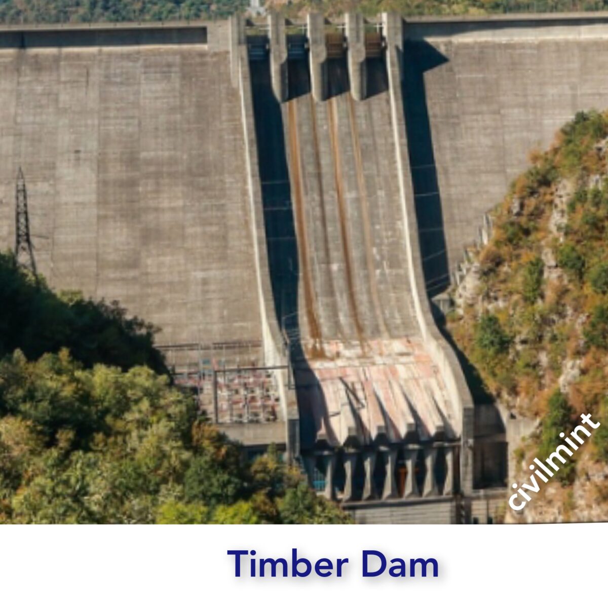 Timber Dam